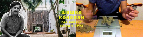 амф Алзамай